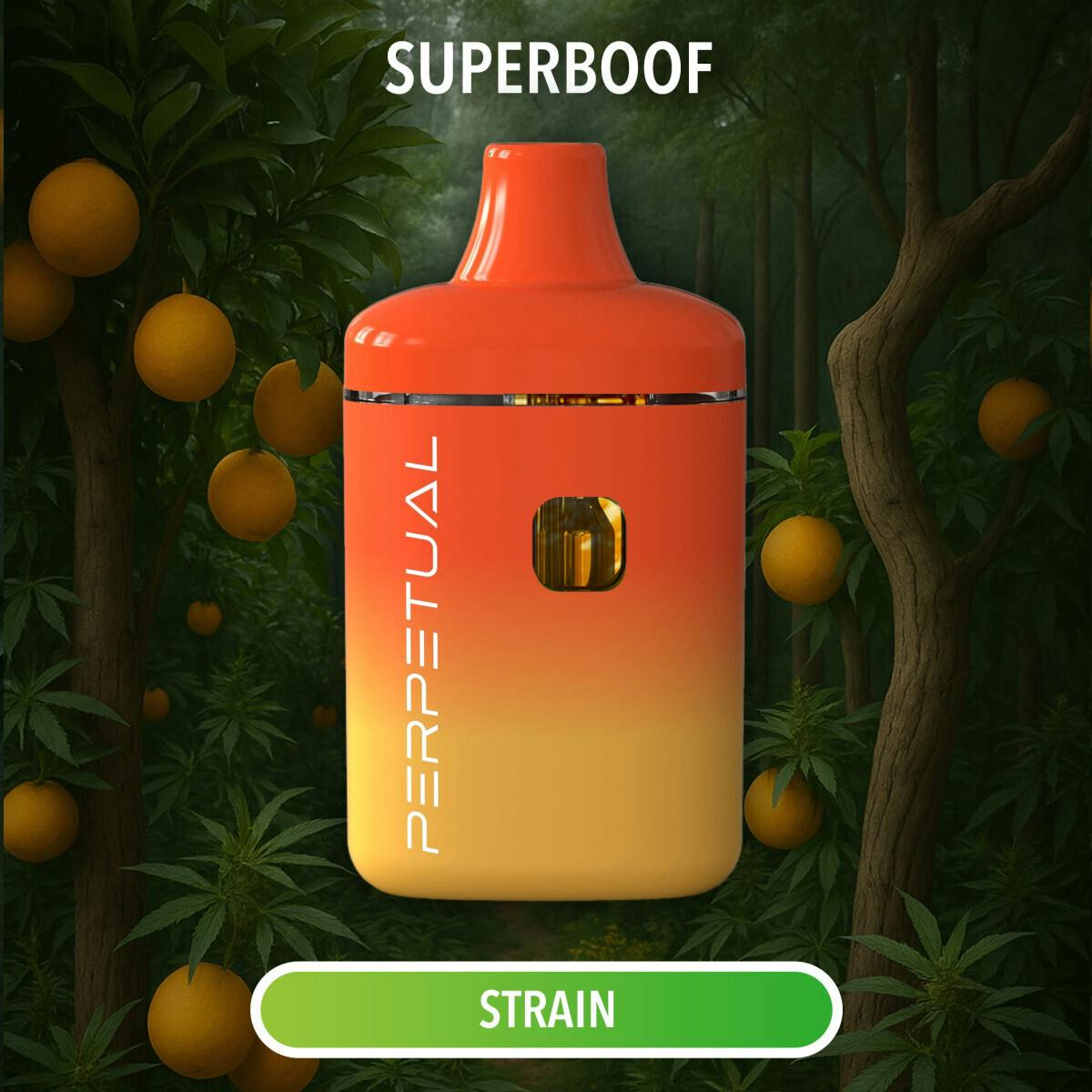Perpetual | Super Boof Disposable