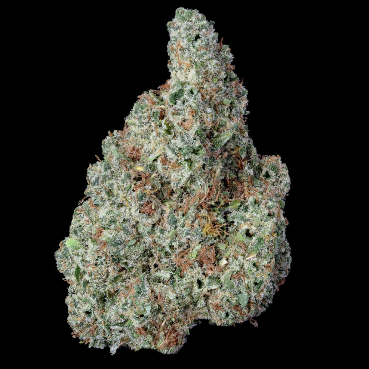Devil's Lettuce | Malibu Marsha Popcorn Flower