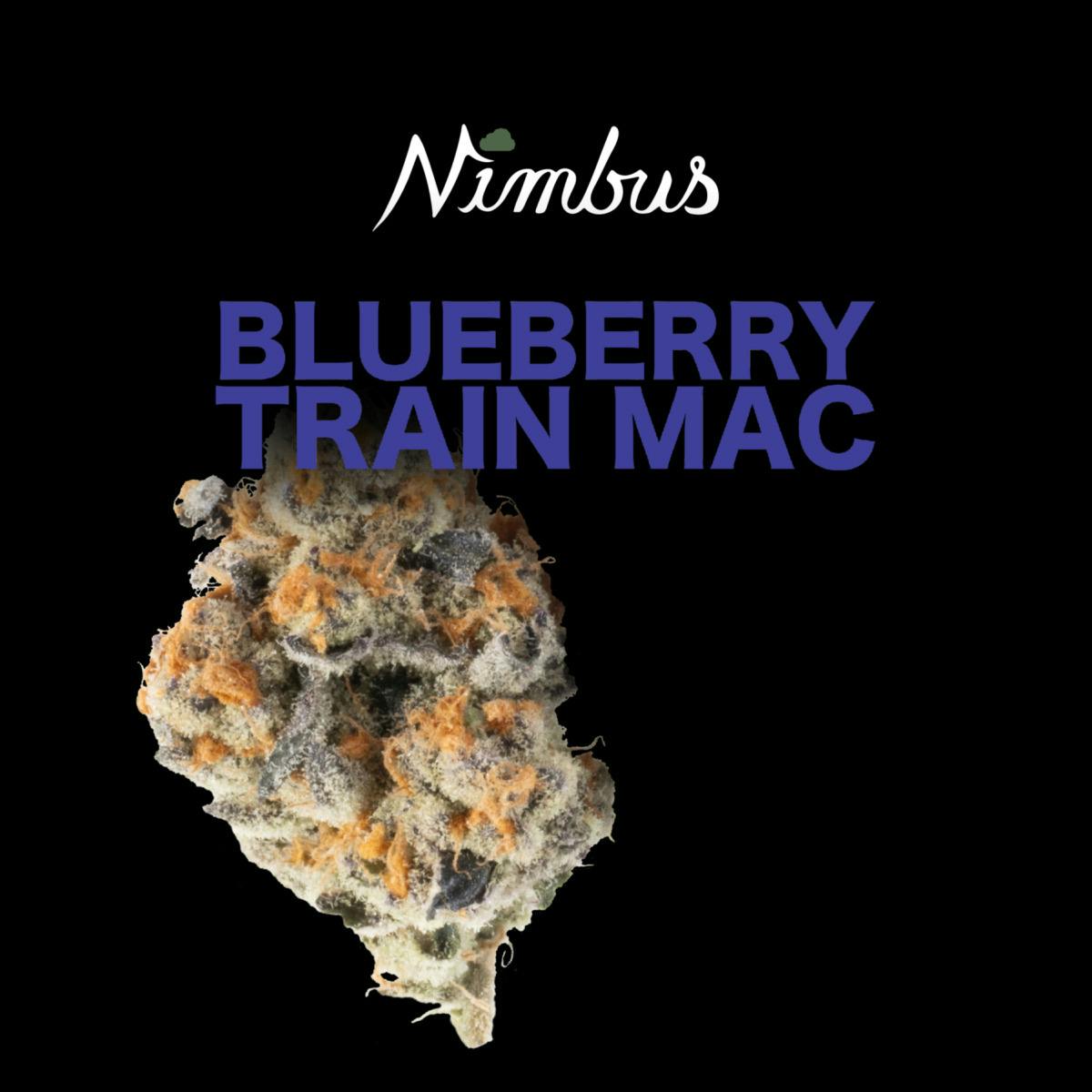 Nimbus | Blueberry Train Mac Flower cannabis product
