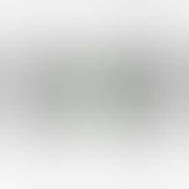 Greenlight T-shirt (Big G): L/Blk/Mens