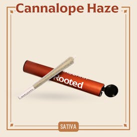 Cannalope Haze Preroll (1g)