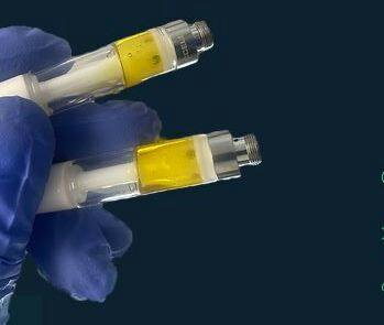 REC - Terp Labs Pure Rosin Cartridge - Kush Mintz (1000mg)