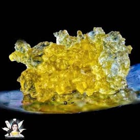 Banana Hammock (I) - 1g Live Sugar - Kush Masters