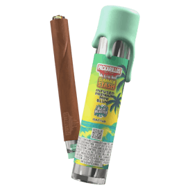 Baja Blaster (S) - 2.5g Premium Infused Blunt - Packwoods