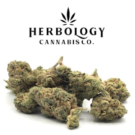 LivWell | California Cherry Pie #1 | Smalls | Deli