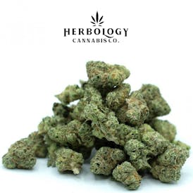 Carbon | White Super Skunk | Deli