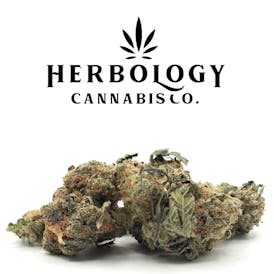 JetFuel Canna | Death Star | Deli