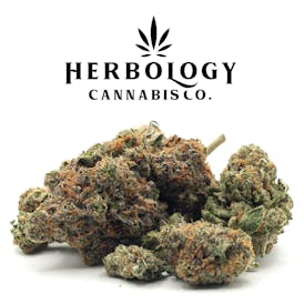 JetFuel Canna | GSC | Deli