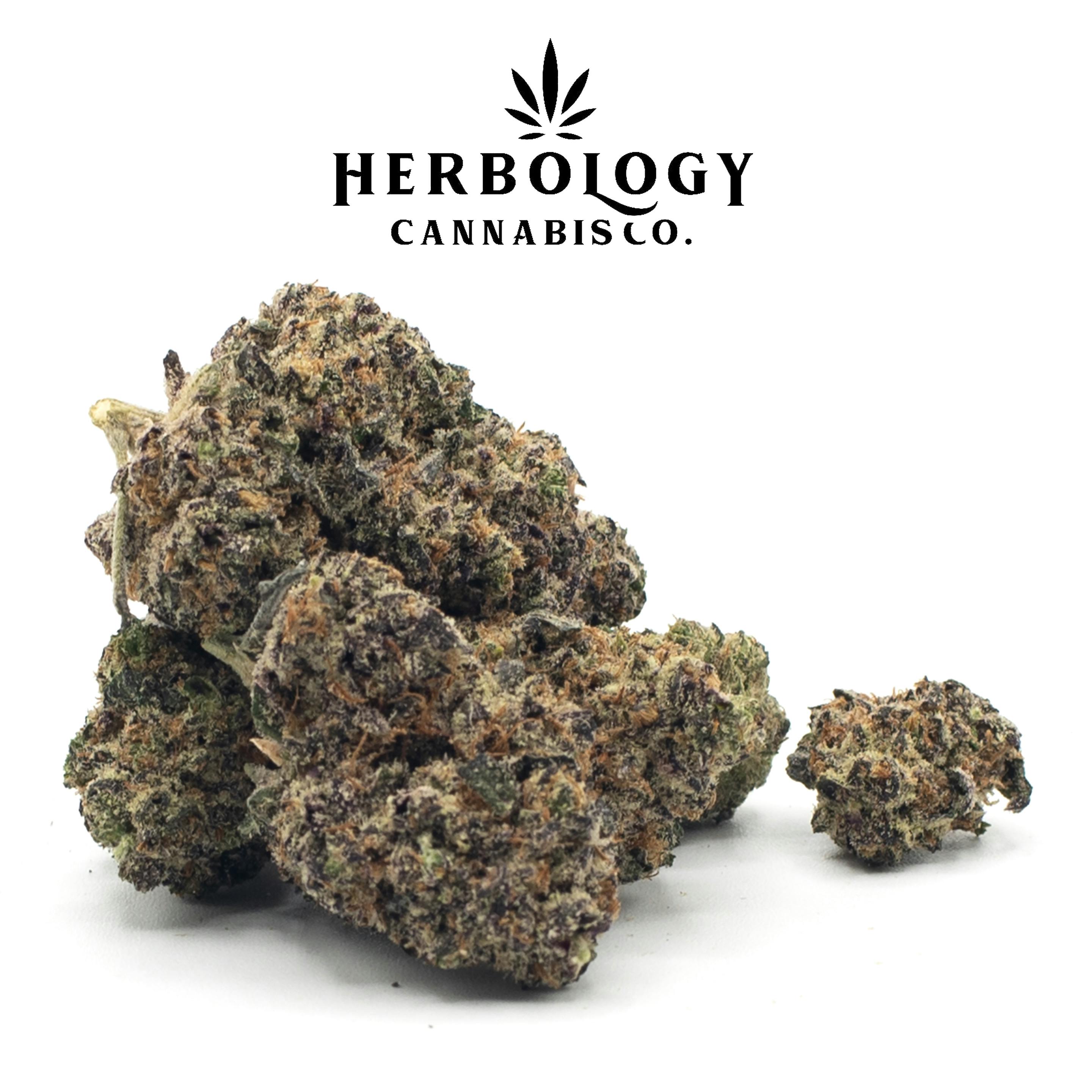 Owners Club Canna | Sherbanger | Deli cannabis product
