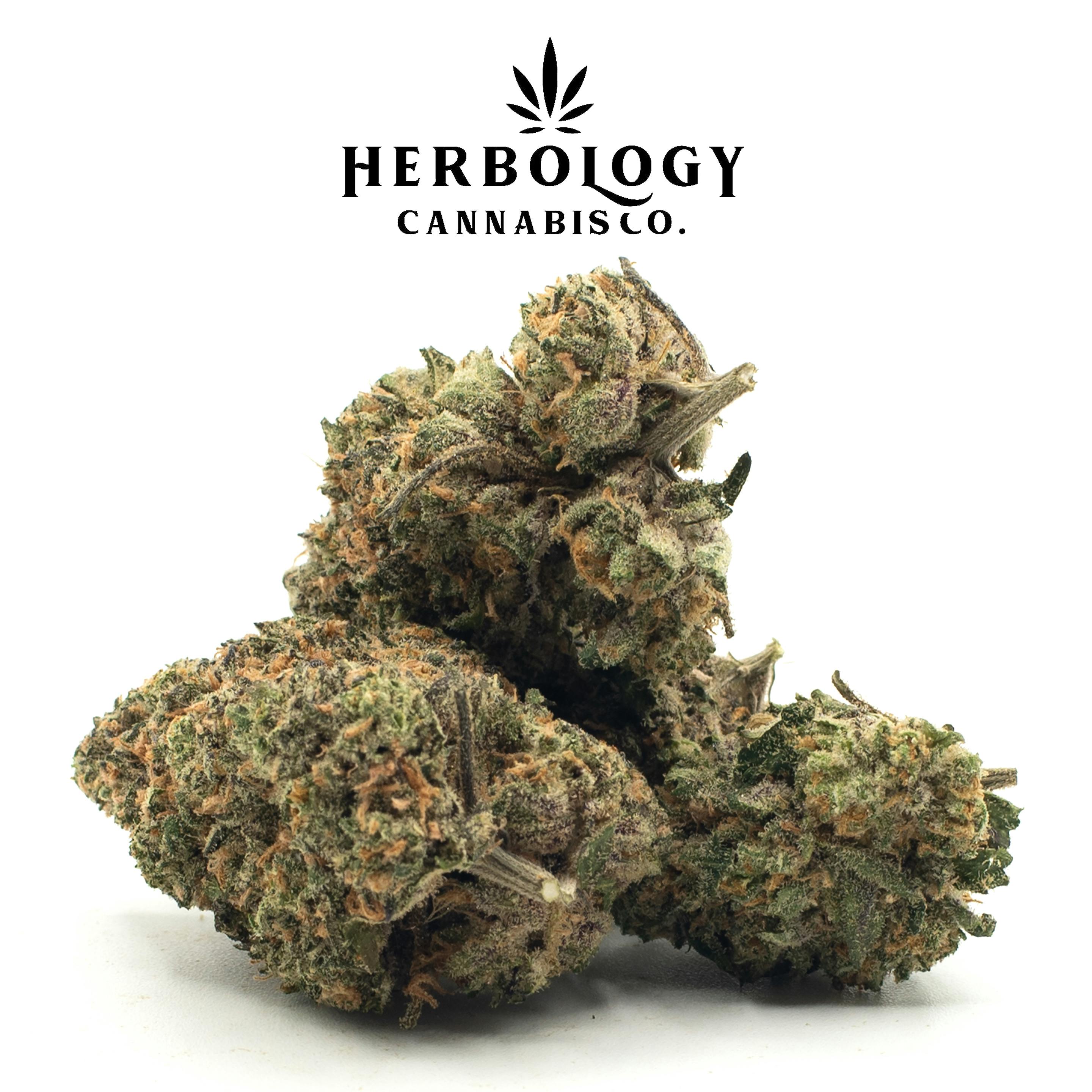 Owners Club Canna | Biscotti | Deli cannabis product