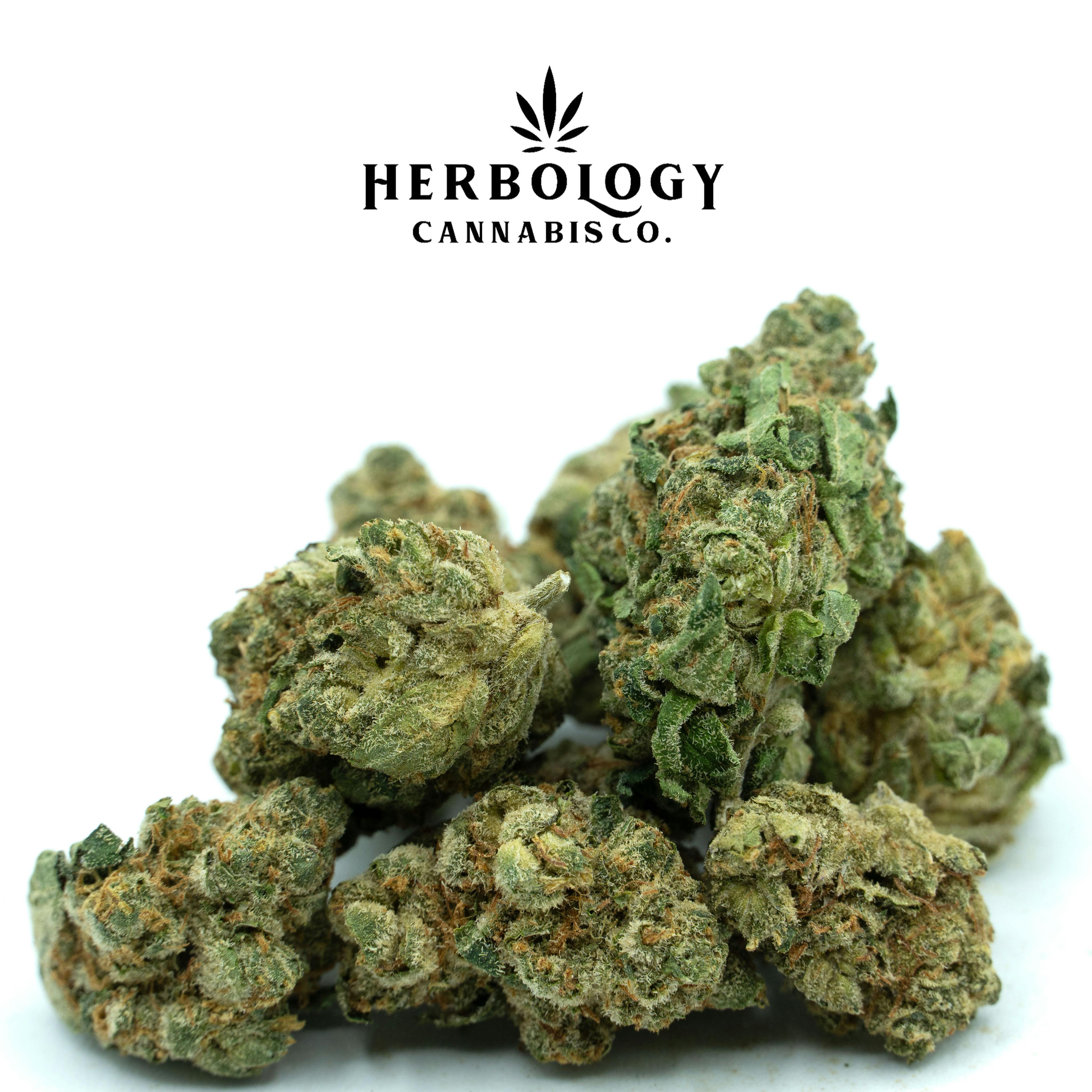 Common Citizen | GMO x Mendo Breath | Deli cannabis product