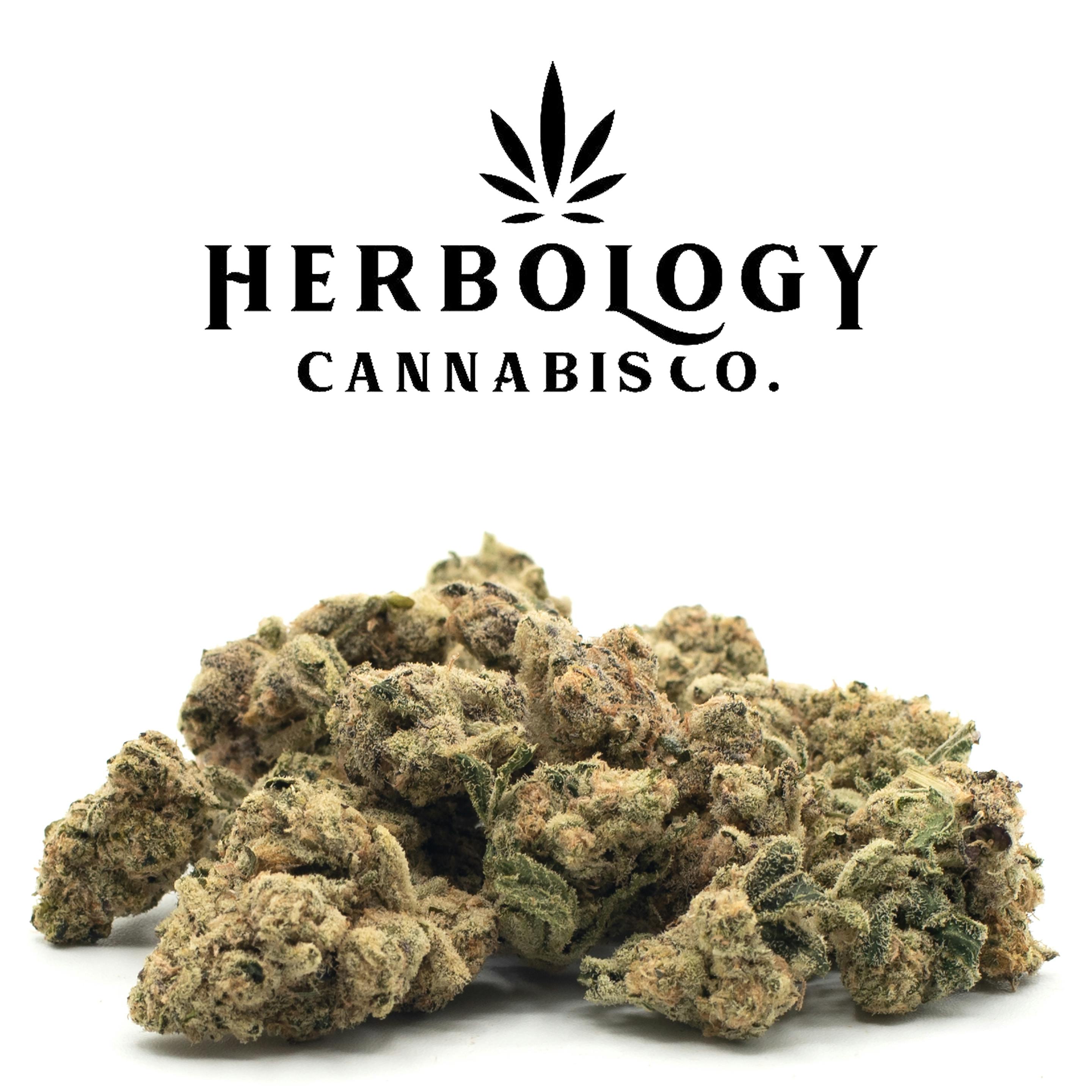 Owners Club Canna | Citrus Tahoe | Deli cannabis product