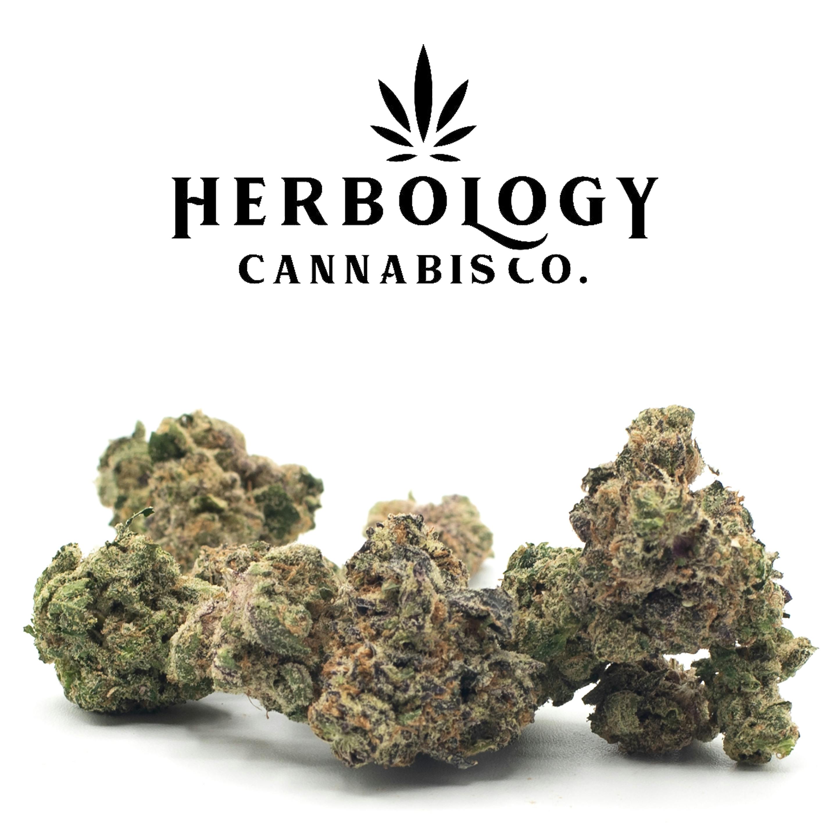 Jetfuel Canna | Detroit Runtz | Deli cannabis product