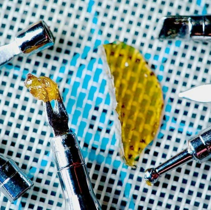 Dr Budder Cutter
