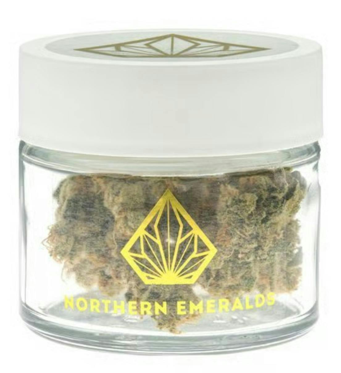 Northern Emeralds: Jar 91 GMO