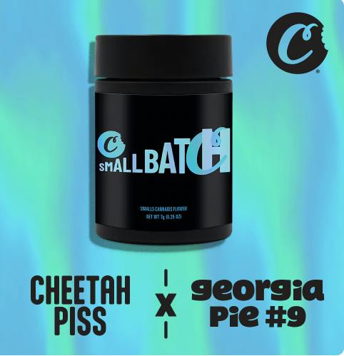 Cheetah Piss x Georgia Pie | 3.5g