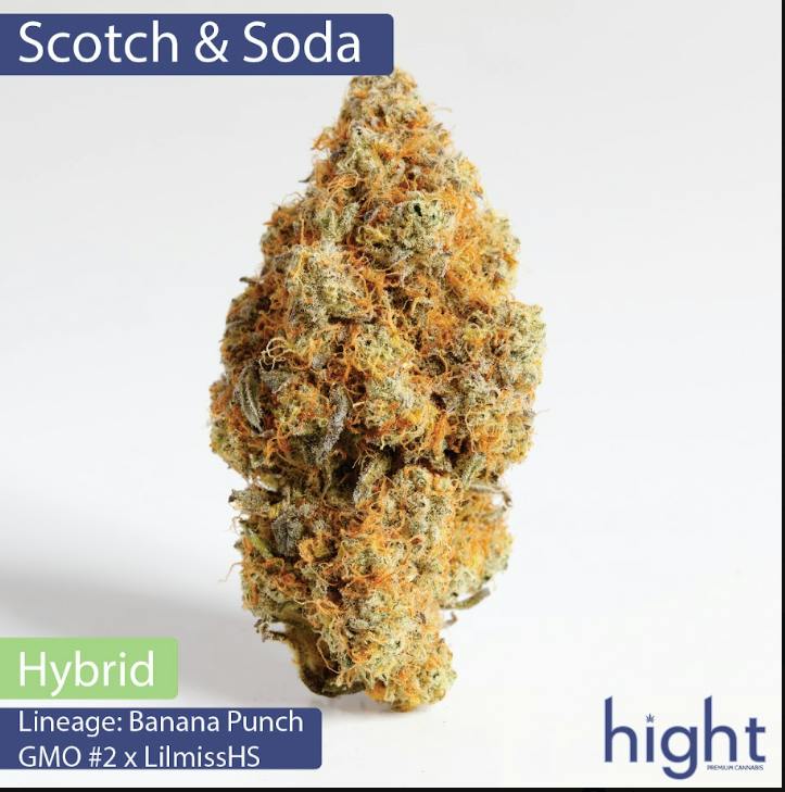 Scotch & Soda | 3.5g