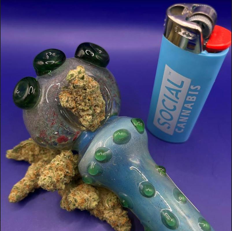 Platinum Shelf - Cherry Slimeade (H)