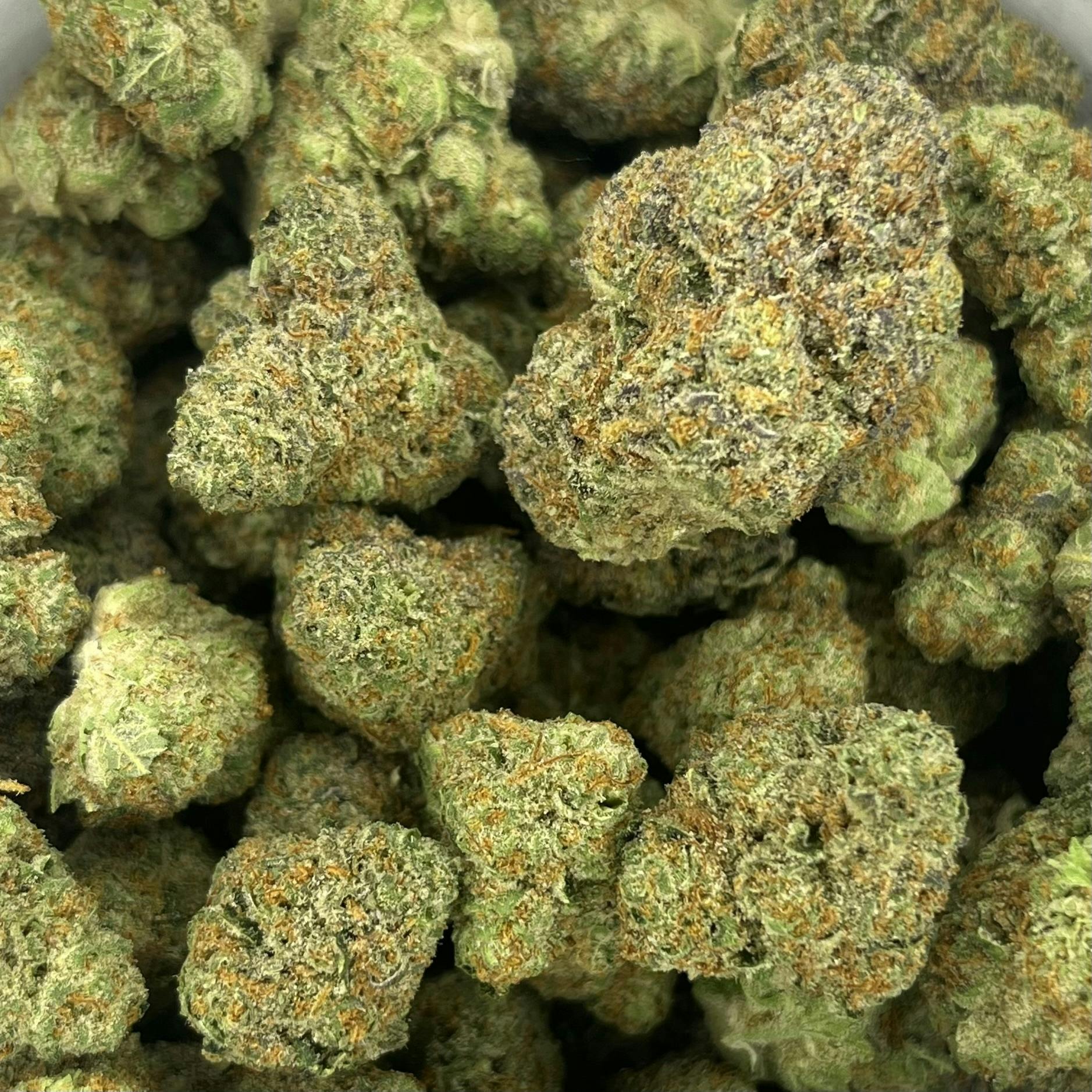 Silver Shelf - Tropicana Banana (S)