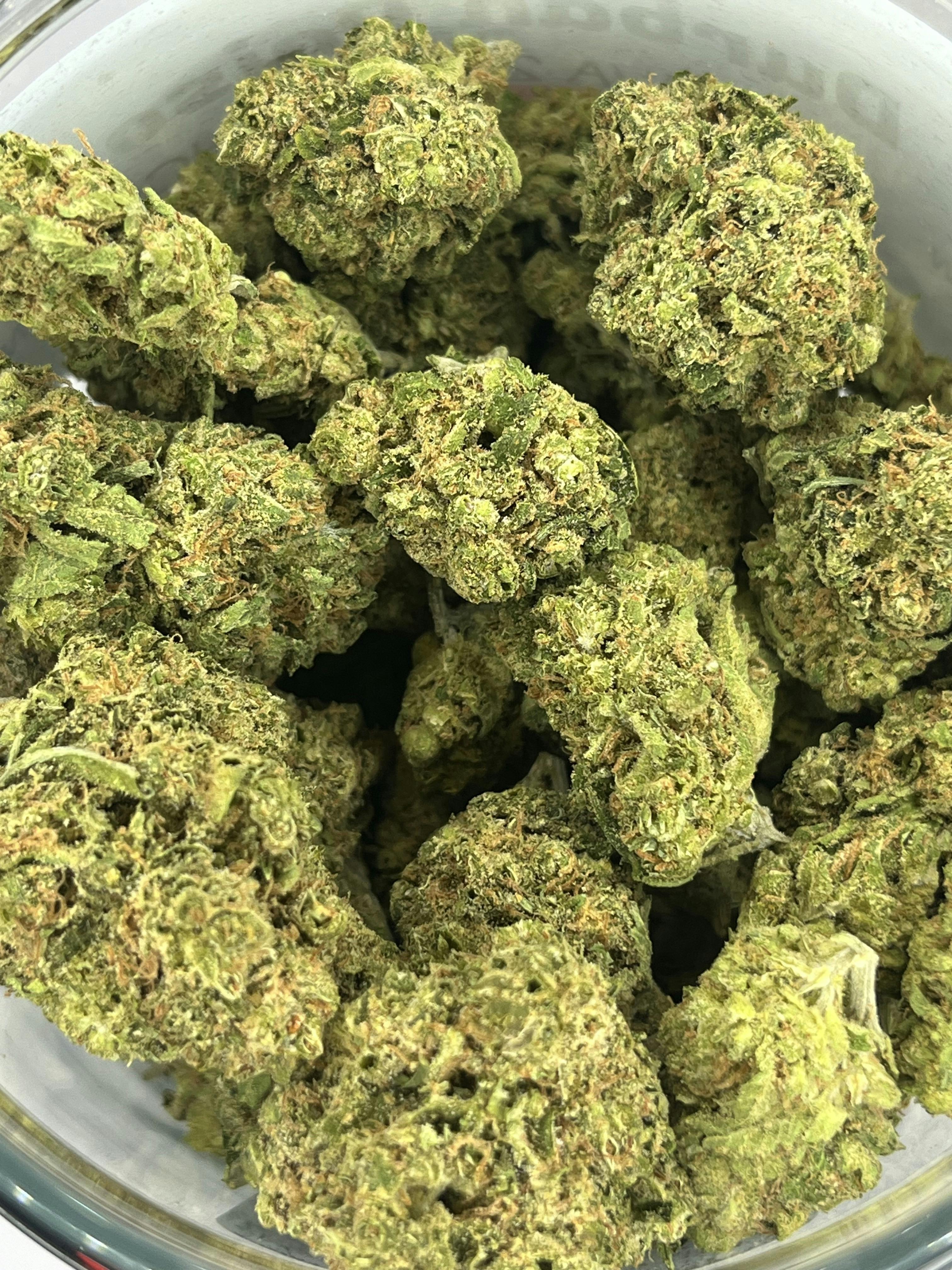 Platinum Shelf - Durban Poison (S)