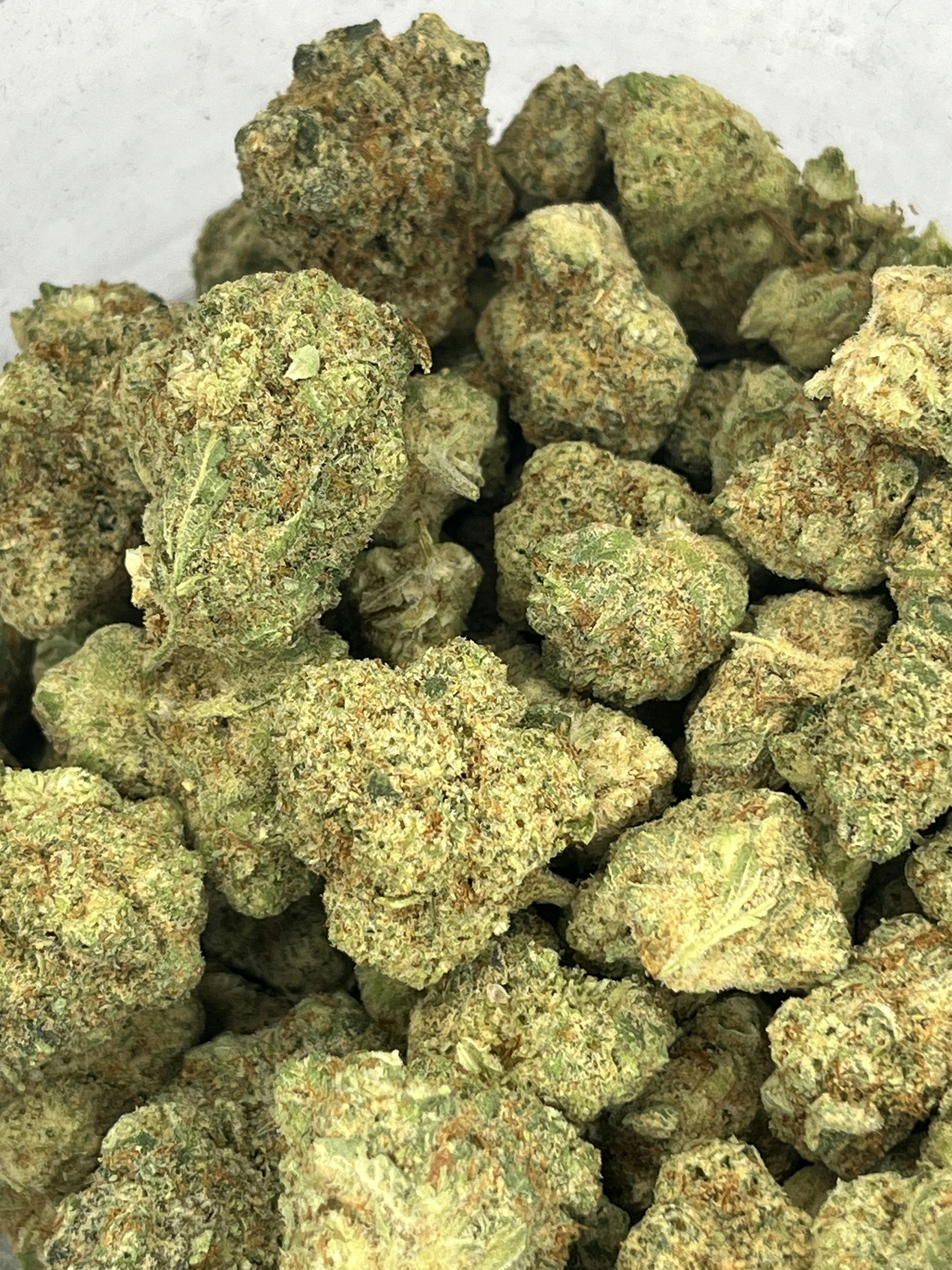 Platinum Shelf - Apricot Scone (S)