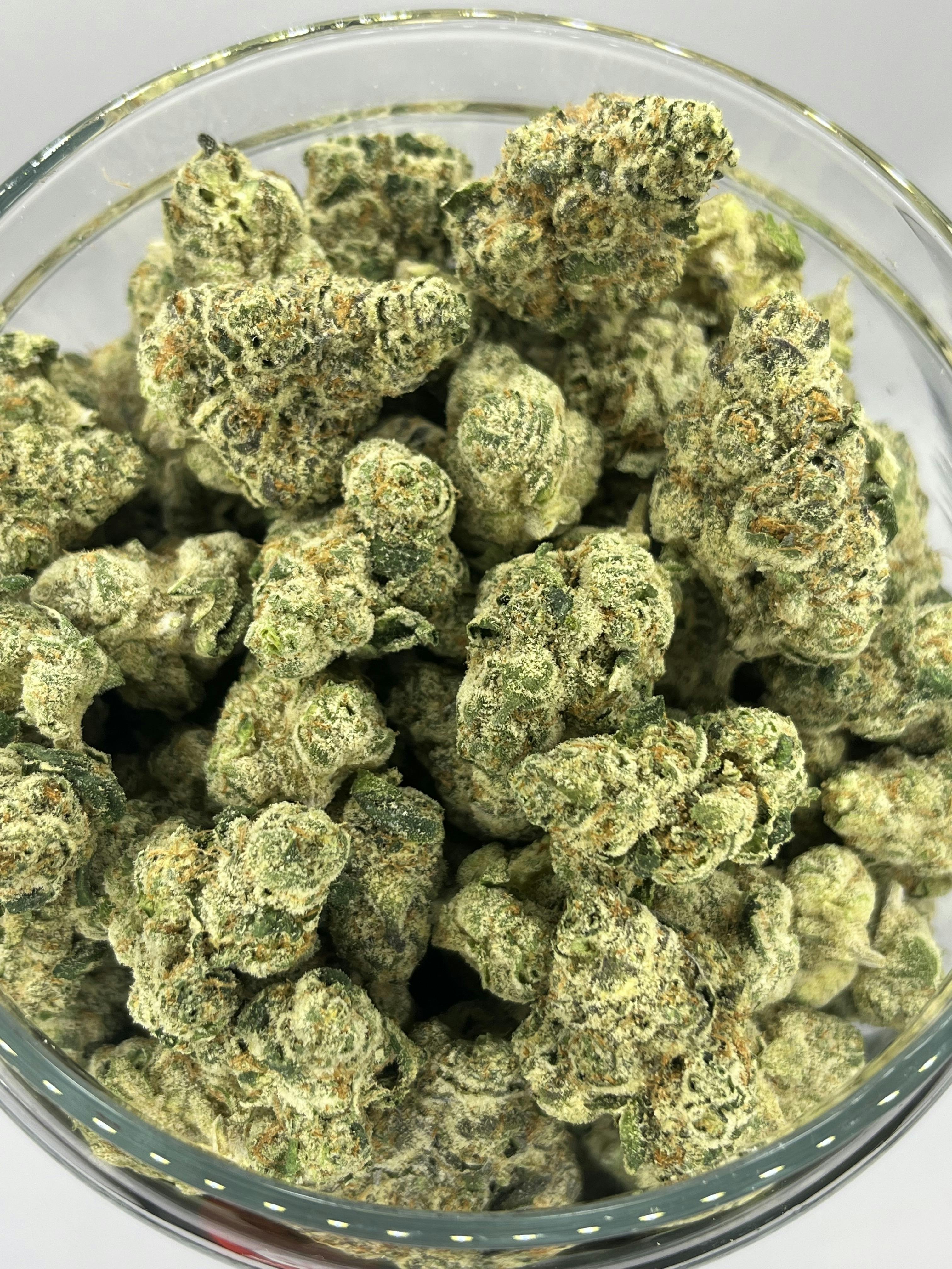 Platinum Shelf - Fritter Runtz (H)