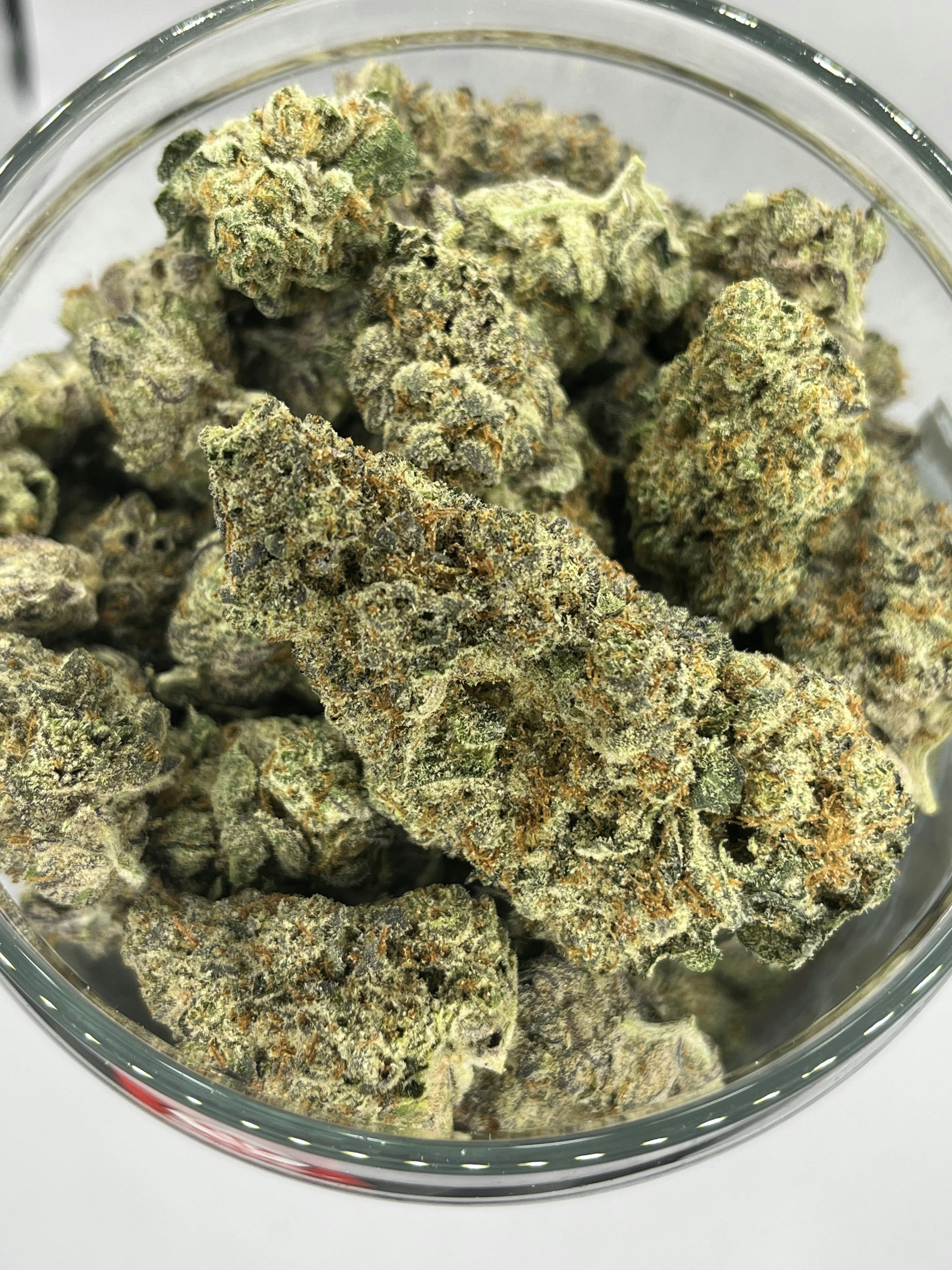 Silver Shelf - Orange Herijuana (H)