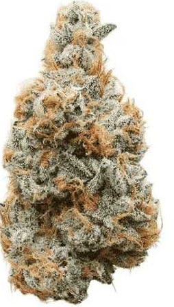 Silver Shelf - Meat Breath (I)