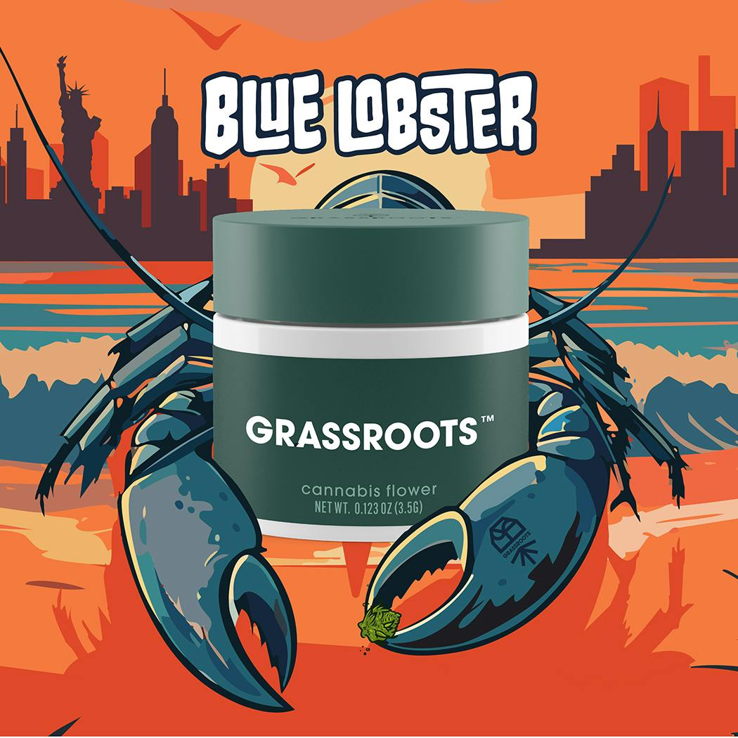 GRASSROOTS | BLUE LOBSTER | WHOLE FLOWER | 14G