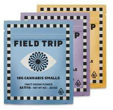Field Trip - Cherry Royale 5g