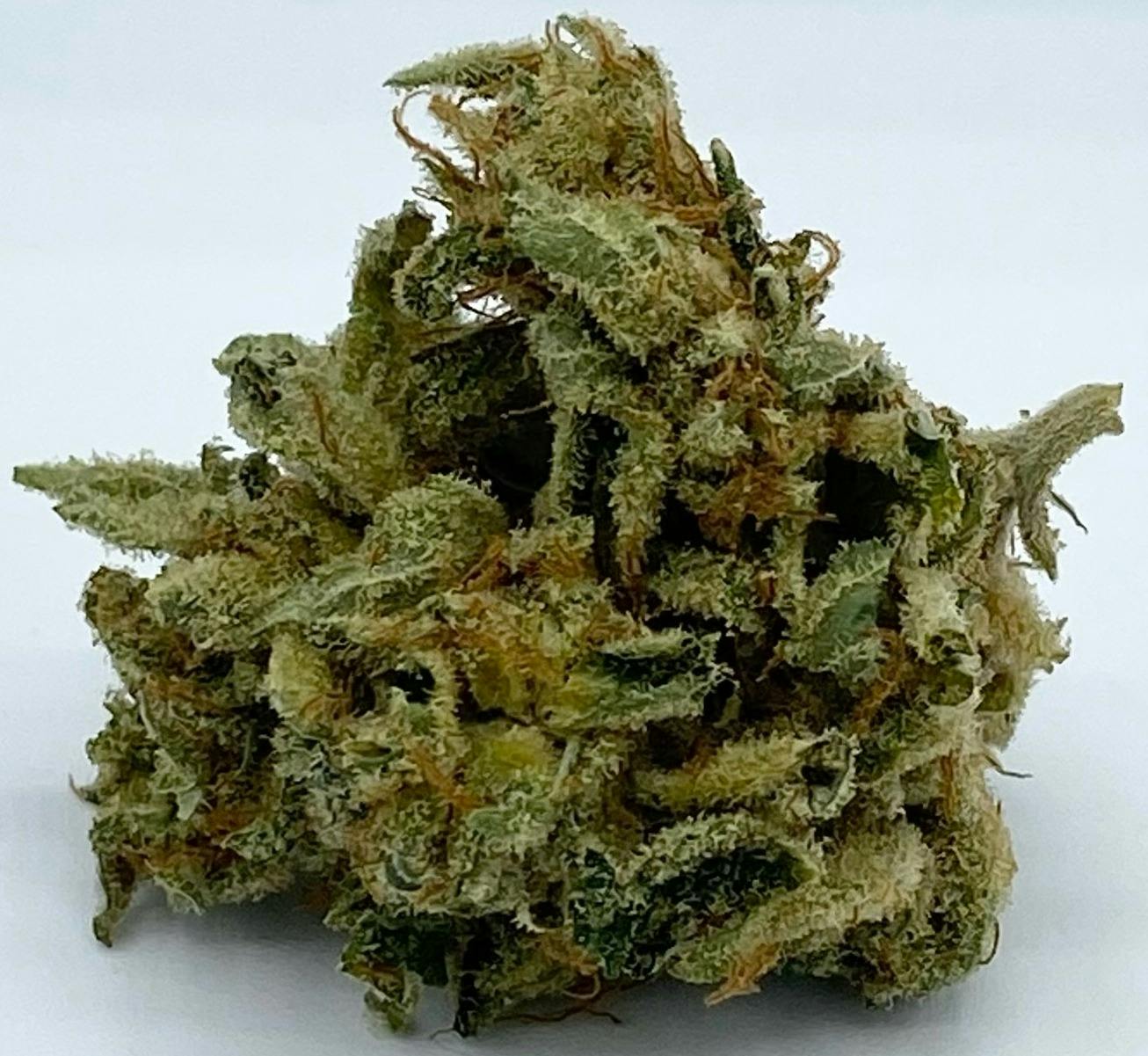 Hashplant by Permafrost - Deli
