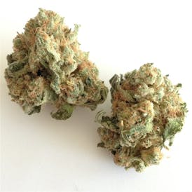 White Widow 25.4% THC 3.5 gm Hybrid Flower