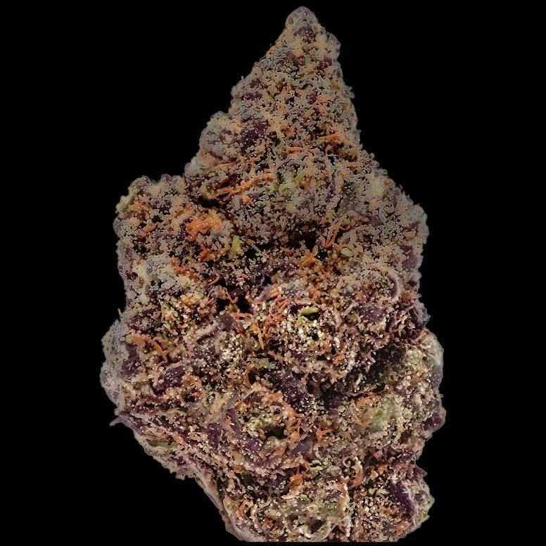 FLORA - LEMON CHERRY GELATO #16 - 3.5G FLOWER
