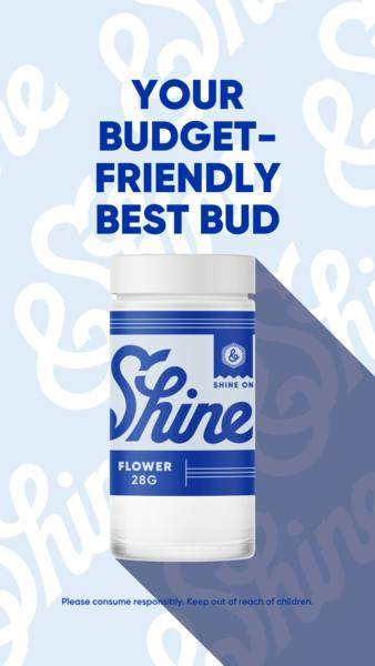 &SHINE - HASH LEMONADE - 28G MIXED BUDS