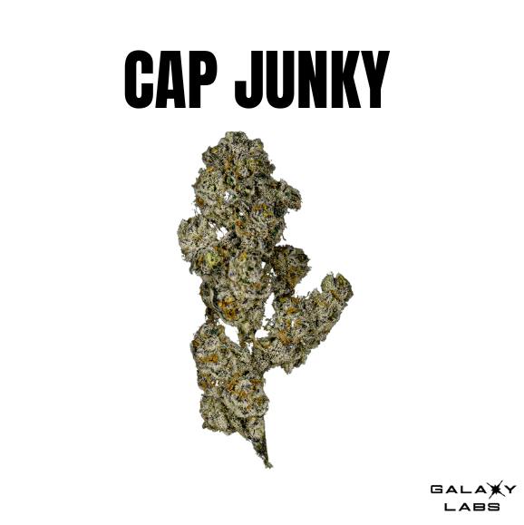 GALAXY LABS - CAP JUNKY - 1G FLOWER at HERB SOCIAL Cannabis Dispensary
