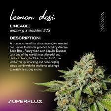 SUPERFLUX - LEMON DOSI - 14G FLOWER