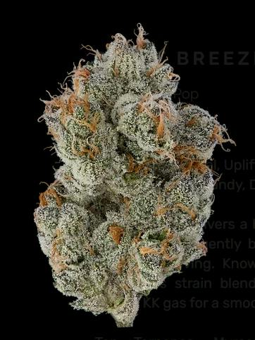 YELLOW - POINT BREEZE (K4) - 14G FLOWER