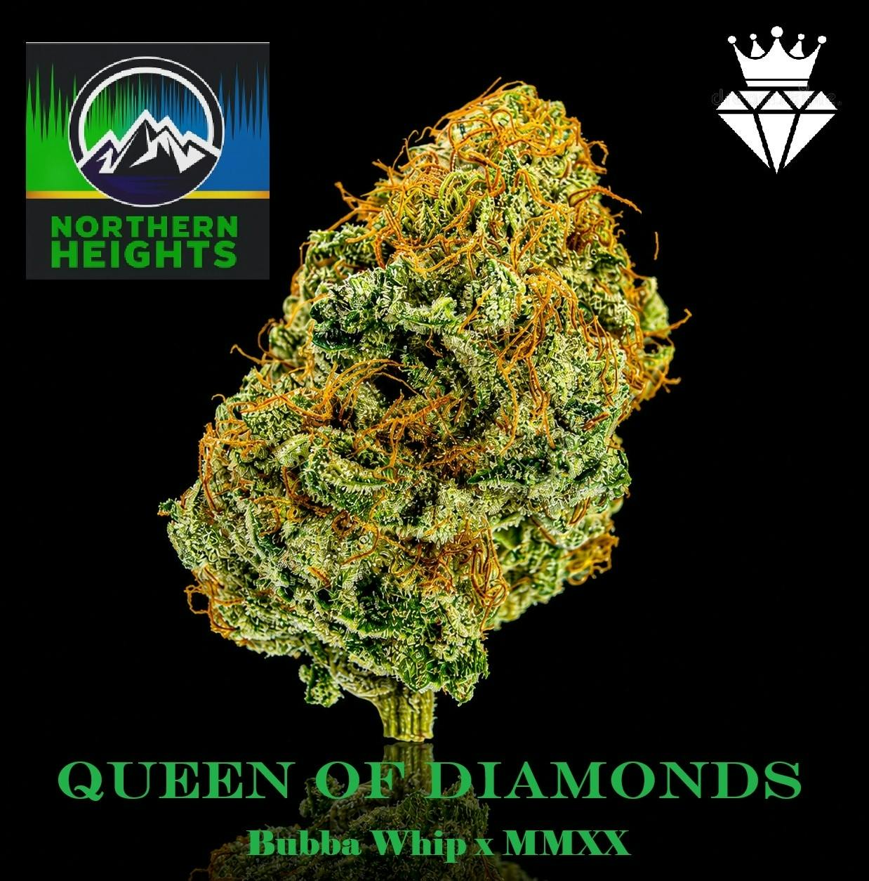 NORTHERN HEIGHTS - QUEEN OF DIAMONDS - 7G FLOWER