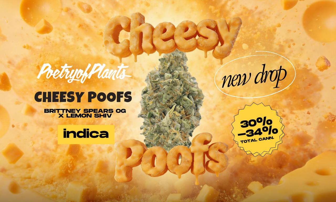 POETRY OF PLANTS - CHEESY POOFS - 14G SMALL BUDS