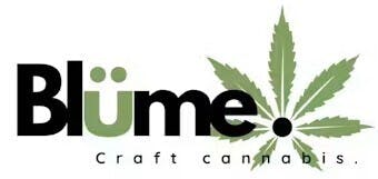 Blume Puss