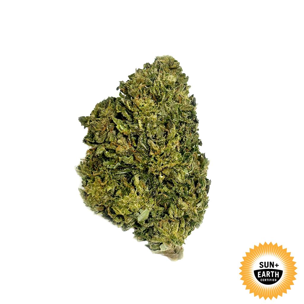 GMOCHI EIGHTH - 3.5 g