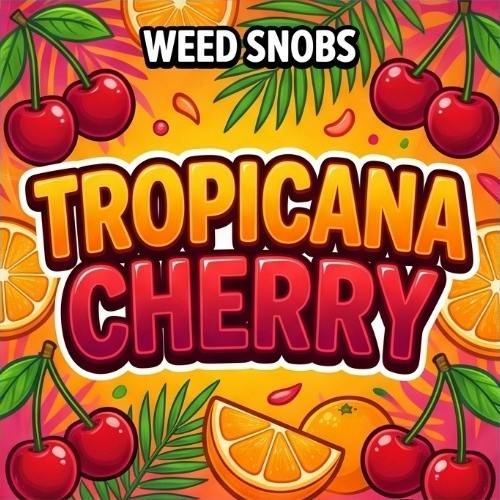 Weed Snobs - Tropicana Cherry - Buds