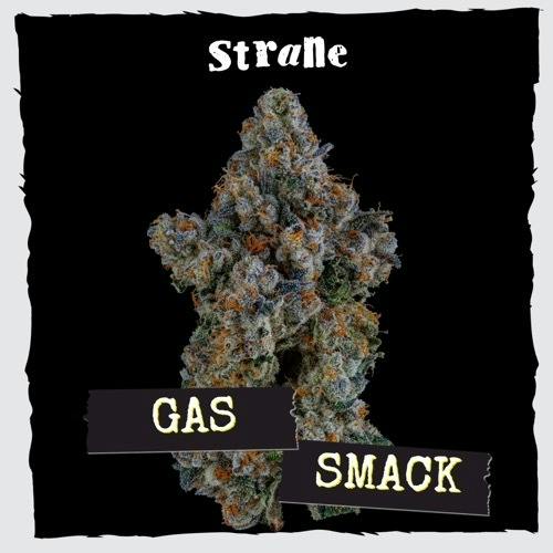 Holistic Industries - Gas Smack - Buds