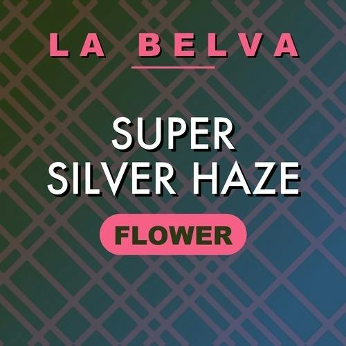 La Belva - Super Silver Haze - Buds