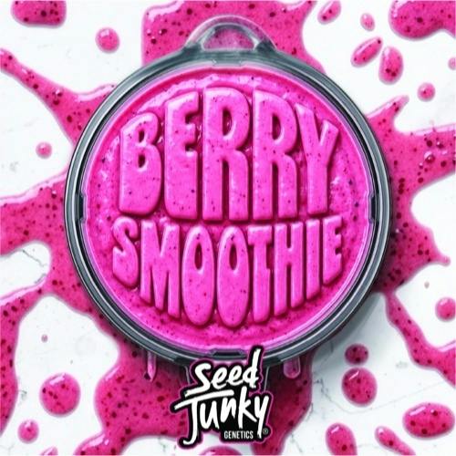 Seed Junky - Berry Smoothie - Buds