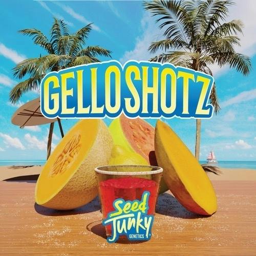 Seed Junky - Gello Shotz - Buds