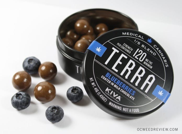 TERRA BLUEBERRIES IN — Milk