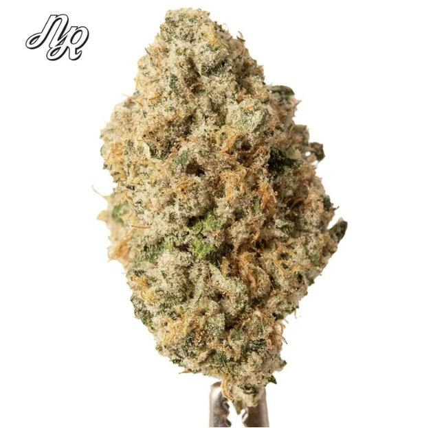 Wedding Cake-(H)-Bulk-Natty Rems cannabis product