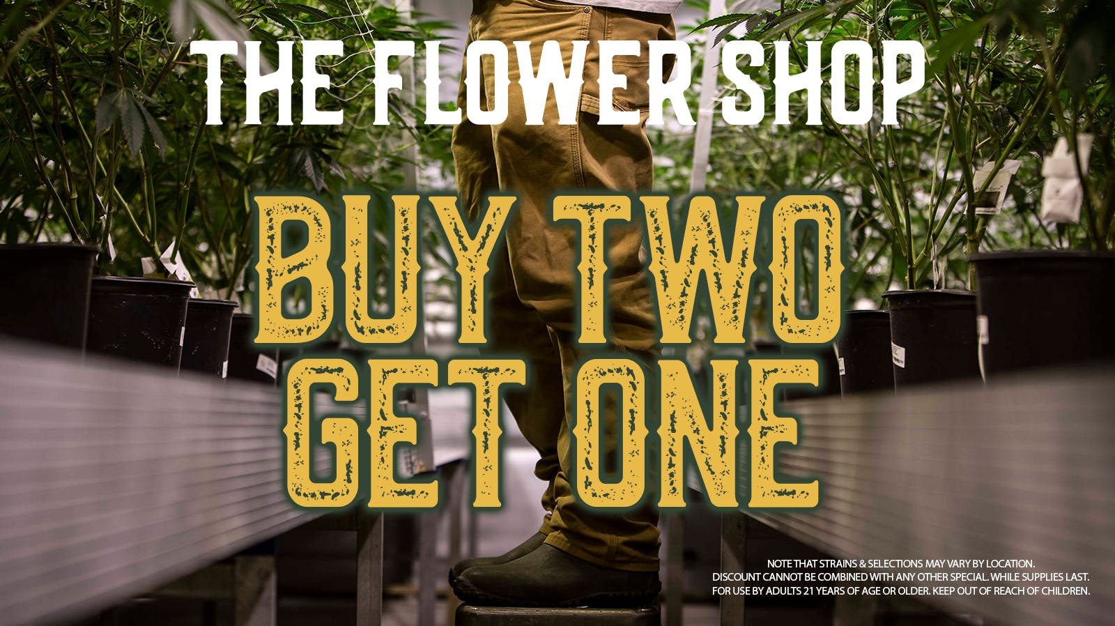 B2G1 at The Flower Shop at The Flower Shop Ahwatukee Weedmaps