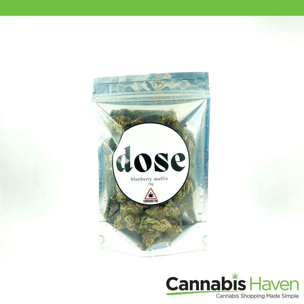 Dose Blueberry Muffin